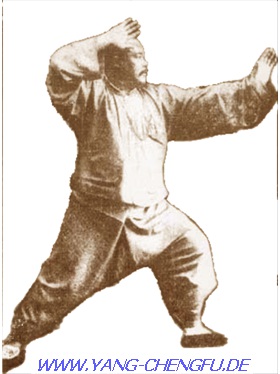 Yang Chengfu 2