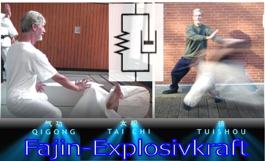 Fajin-Energie im realistischen Einsatz beim Partnertraining mit Dr. Langhoff