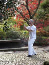 Qigong Ausbildung Hamburg Dr. Langhoff