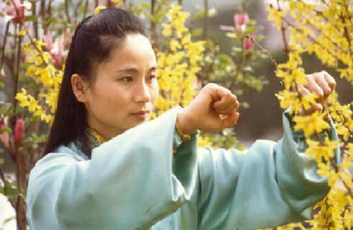 Li Rong Mei (Li Rongmei)