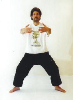 Meditation, Stehmeditation Qigong Qi-Gong